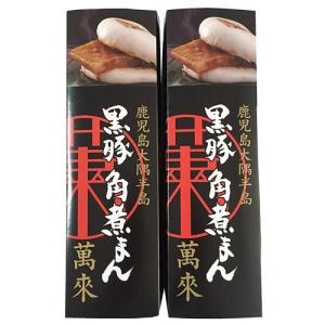 須崎屋】謹製手延素麺 上村久人 250g(50g×5束)/麺 そうめん 素麺 手