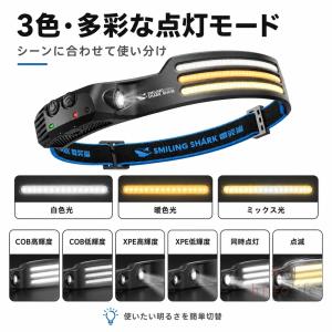 【新店オープン記念 1100円・先着20個】S...の詳細画像4