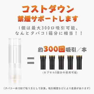 プルームテックプラス互換 カートリッジ アイス...の詳細画像2