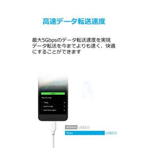 Anker USB Type C ケーブル 0...の詳細画像2