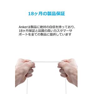 Anker USB Type C ケーブル 0...の詳細画像5