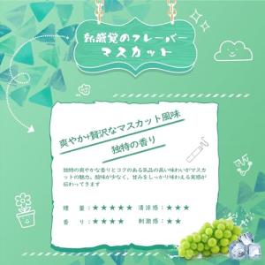 プルームテックプラス with2 互換 カート...の詳細画像1