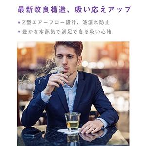 プルームテックプラス with2 互換 カート...の詳細画像4