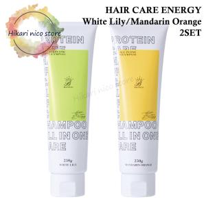 ヘアケアエナジー プロテインオールインワンシャンプー 250g
