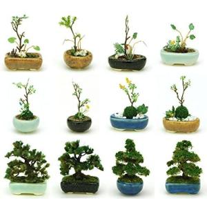 苔盆栽 鉢 模型 プラモデル の商品一覧 ゲーム おもちゃ 通販 Yahoo ショッピング