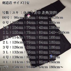 剣道着セット 新感覚剣道衣 スコッチクリーン+...の詳細画像5