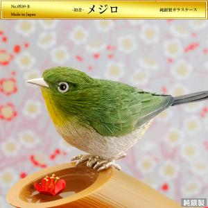 カワセミ｜純銀製置物/ガラスケース : HIKARI GALLERYヤフー店