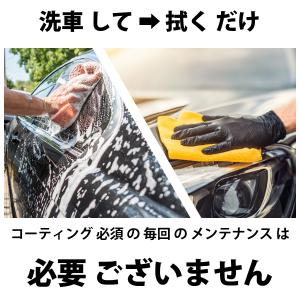 カーシャンプー セラミックコーティング コーテ...の詳細画像4