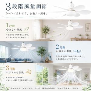 シーリングファンライト LED E26口金・引...の詳細画像3