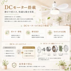 シーリングファンライト LED E26口金・引...の詳細画像4
