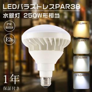 岩崎電気 ケース販売 10個セット 屋外投光用アイランプ 散光形 110V