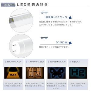 LED蛍光灯 20w形 58CM 58MM 直...の詳細画像2