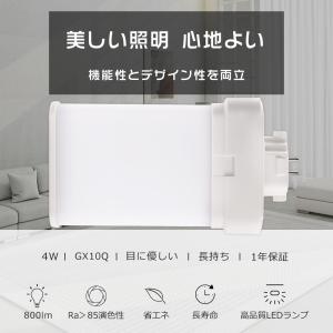 東洋ライテック 東洋 LW100V36W 白熱電球 （シリカ電球） 40形