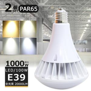 岩崎電気 (送料無料) ESP14004/S (ESP14004S) 屋外スポットライト