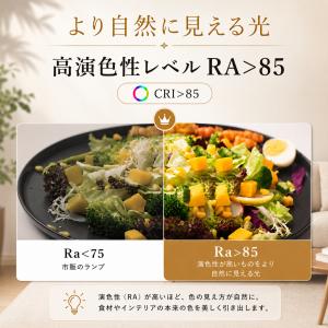 電気代節約 シーリングファンライト E26口金...の詳細画像5