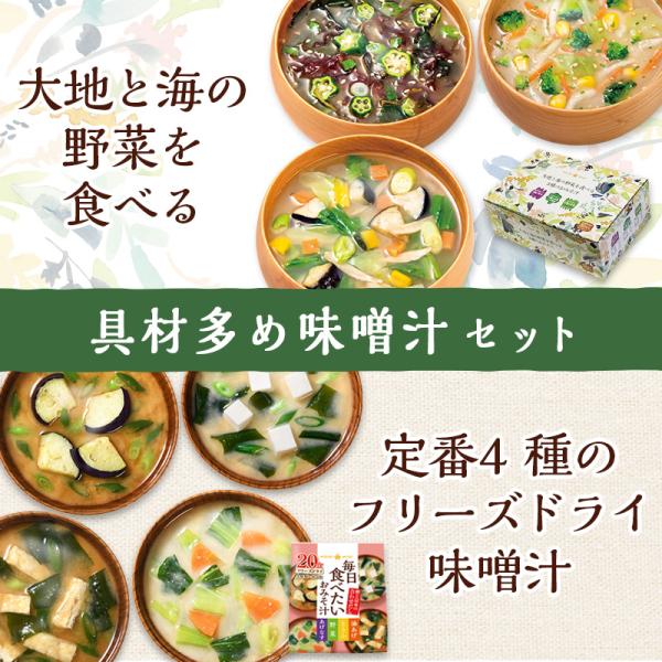 具だくさん 即席 味噌汁 セット 大地と海の野菜を食べる味噌汁30食＋フリーズドライ毎日食べたいみそ...