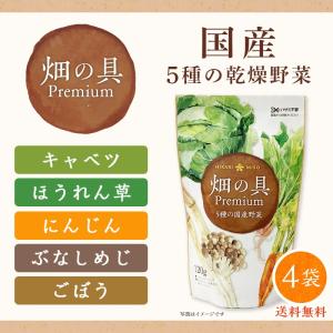 国産 乾燥野菜 まとめ買い4袋 ドライベジタブルミックス 畑の具プレミアム120g スープの具 ラーメンの具 味噌汁の具 ドライ 乾燥 野菜 保存食 非常食 防災｜hikarimiso