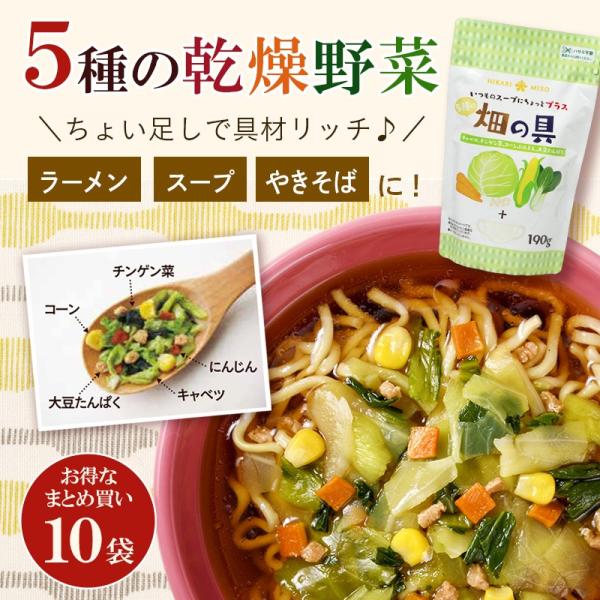 まとめ買い セット割 5種の乾燥野菜ミックス190g 10袋 乾燥具材 お家 ラーメン スープの具 ...