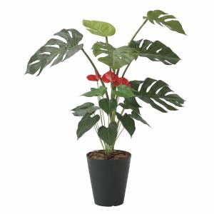 光触媒　人工観葉植物　フェイクグリーン　カラジウムトロピカーナ 100 光触媒 人工観葉植物 フェイクグリーン トロピカルベンジャミン斑入リ