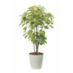 フェイクグリーン 光触媒 光の楽園 インテリアベンジャミン1.6m