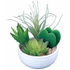 光触媒　人工観葉植物　抗菌消臭　ウォールグリーン   チャーリー 光の楽園 人工観葉植物 チャーリーポット : 光の楽園公式