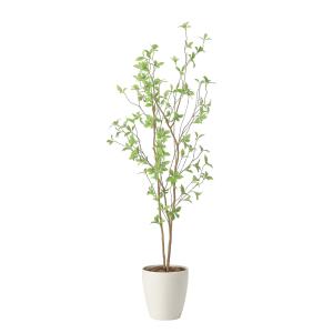 フェイクグリーン 人工観葉植物 光の楽園 フィカスブランチツリー 高さ
