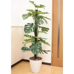 フェイクグリーン 鉢植え 大型 ウッドボックス パキラ 1m 人工