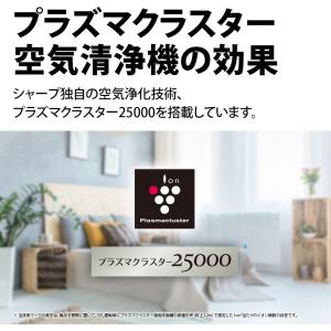SHARP シャープ 加湿空気清浄機 プラズマ...の詳細画像2