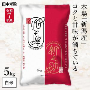 新之助（しんのすけ） (産地直送)新潟米 5kg 令和7年産 早川米穀店