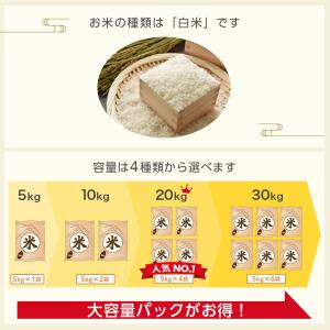 令和7年産 五ツ星お米マイスター厳選 新潟県 ...の詳細画像2