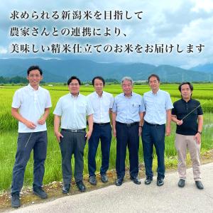令和7年産 五ツ星お米マイスター厳選 新潟県 ...の詳細画像4