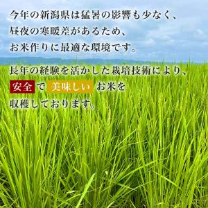 令和7年産 五ツ星お米マイスター厳選 1等米 ...の詳細画像2