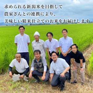 令和7年産 五ツ星お米マイスター厳選 1等米 ...の詳細画像3