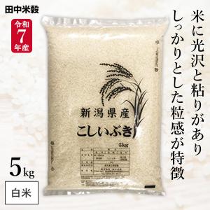 五ツ星お米マイスター 吟撰米 10Kg×2袋 20kg 白米 精米 お米 特売品】 五ツ星お米マイスター 田中亮おすすめ 吟撰米 5kg(1袋) 田中