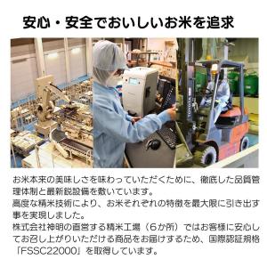 令和7年産 無洗米 北海道産 ななつぼし 10...の詳細画像3