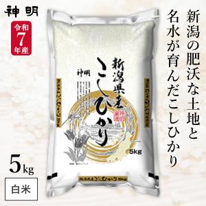 コシヒカリ お米 米 令和7年産 新潟県産コシヒカリ 5kg (新潟産直米