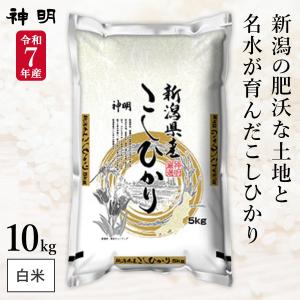 ヤマトライス 愛知県産 コシヒカリ 10kg お米 米 5kg×2 白米 令和7年産