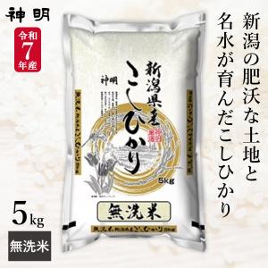 令和7年産 無洗米 新潟県産 コシヒカリ 10kg(5kg×2袋) まとめ買い 神明
