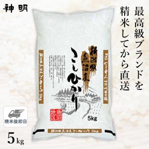 ○【最短当日出荷 送料無料】新潟県 魚沼産 コシヒカリ 5kg(1袋) 精米仕立て｜hikaritv