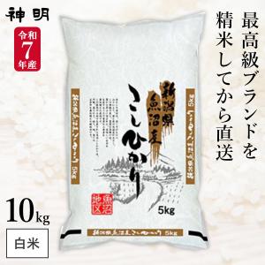新米 新潟県産 コシヒカリ 無洗米 10kg(5kg×2袋) 令和7年産 神明 日本