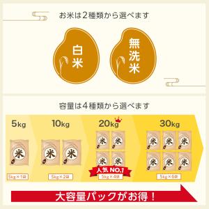 令和7年産 無洗米 山形県産 つや姫 10kg...の詳細画像2