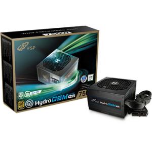 FSP Hydro GSM Lite PRO 750W / 80 PLUS GOLD認証 / 750Ｗ電源 /