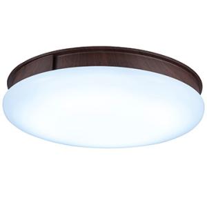 スワン電器 LED シーリングファンライト UZUKAZE 空気清浄機能付き ブラウン FCE-555BR