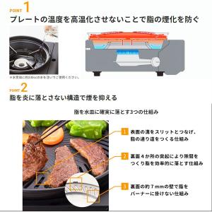 岩谷産業 【在庫処分特価】 マルチスモークレス...の詳細画像1