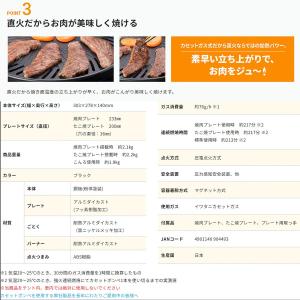 岩谷産業 【在庫処分特価】 マルチスモークレス...の詳細画像2