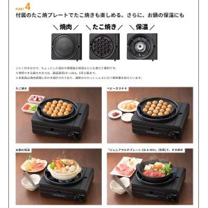 岩谷産業 【在庫処分特価】 マルチスモークレス...の詳細画像3