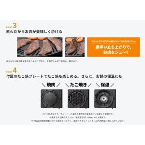岩谷産業 【在庫処分特価】 マルチスモークレス...の詳細画像5