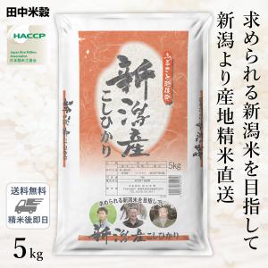 □【送料無料】令和5年産 ふるさと越後発 新潟県産 コシヒカリ 5kg(1袋) 精米仕立て｜hikaritv