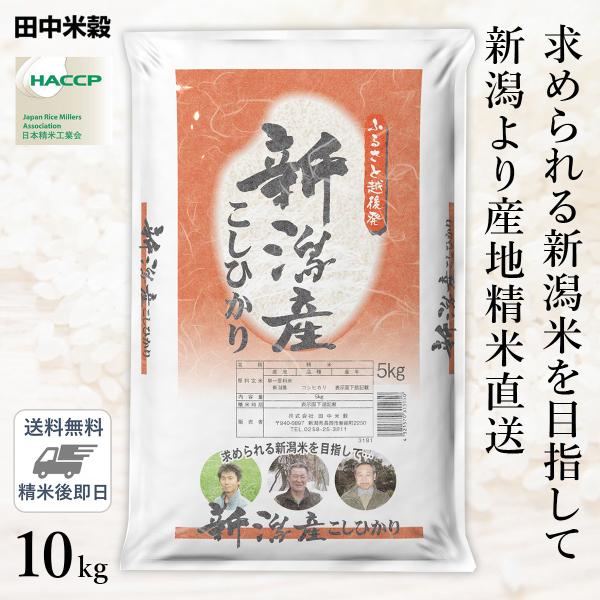 □【送料無料】令和5年産 ふるさと越後発 新潟県産 コシヒカリ 10kg(5kg×2袋) 精米仕立て
