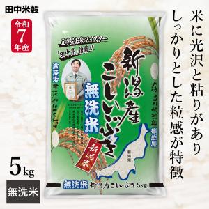 □無洗米 令和3年産 新潟産 こしいぶき 5kg